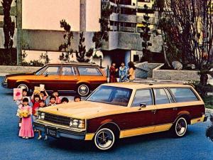 Buick Century Estate Wagon 1979 года